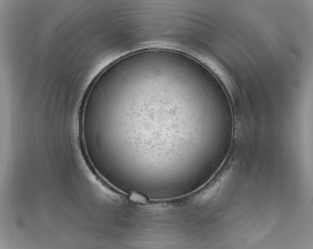 X0000110940999200906261257