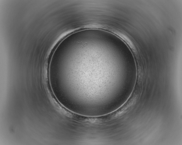 X0000110941000200906261257