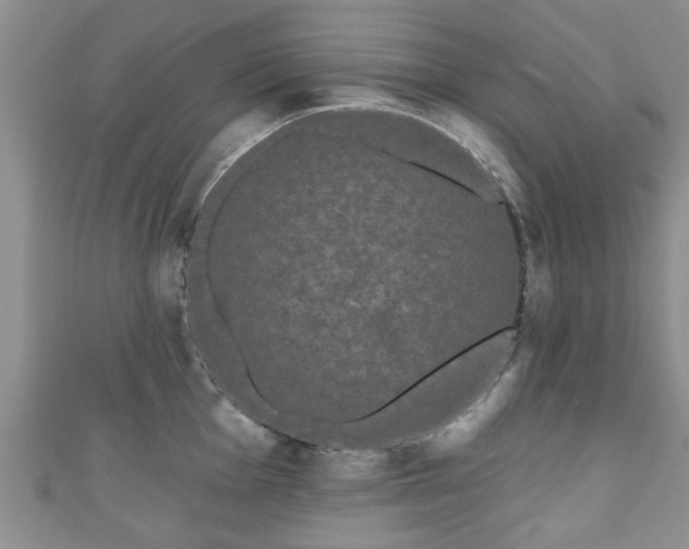 X0000110941001200906261257