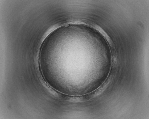 X0000110941002200906261257