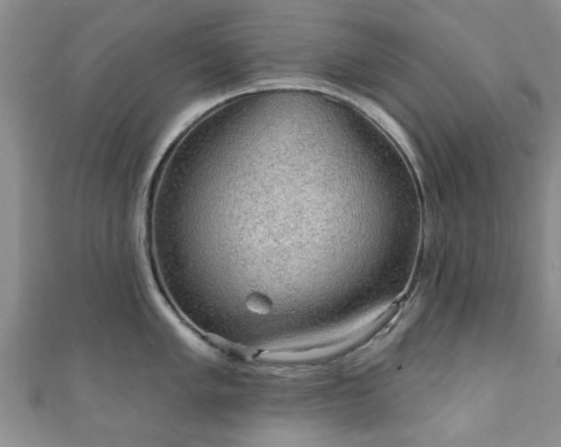 X0000110941005200906261257