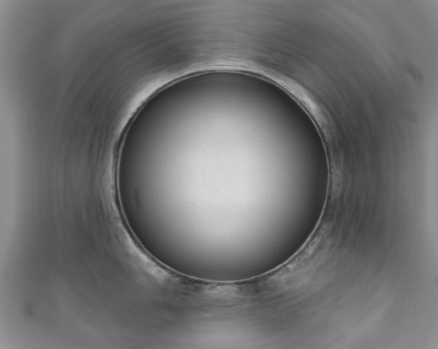 X0000110941006200906261257