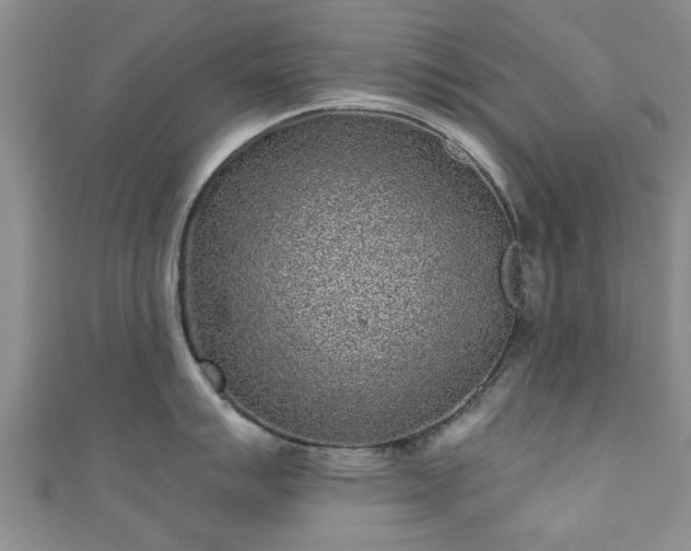 X0000110941007200906261257