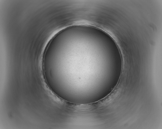 X0000110941008200906261257