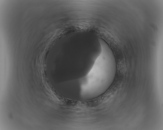 X0000110941009200906261256