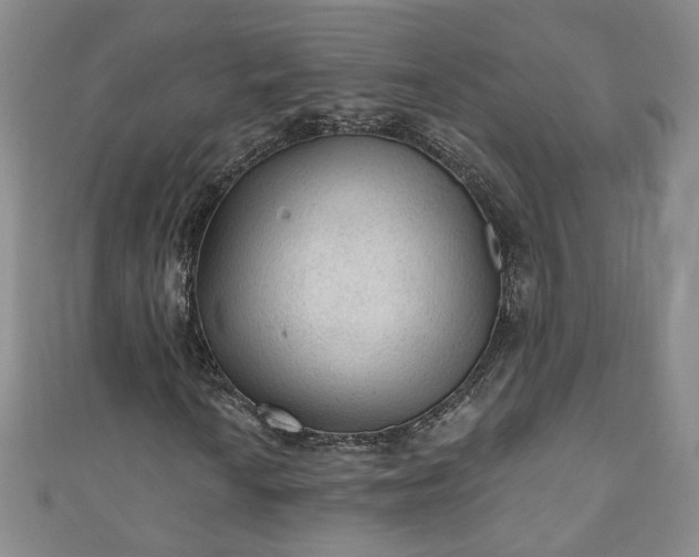 X0000110941010200906261256