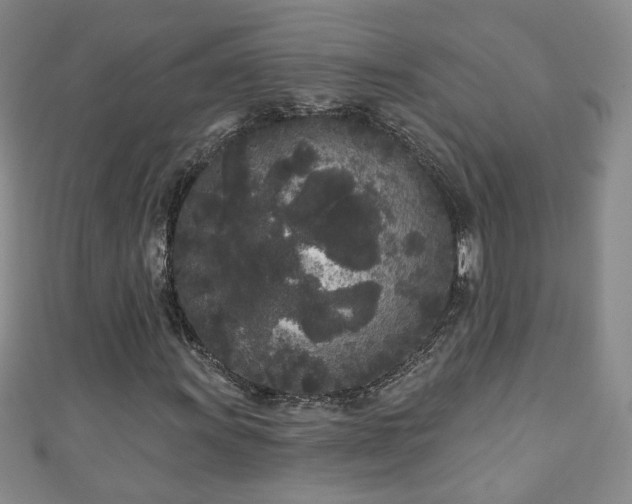 X0000110941011200906261256