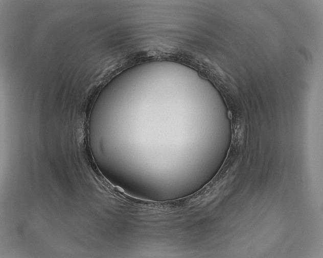 X0000110941012200906261256