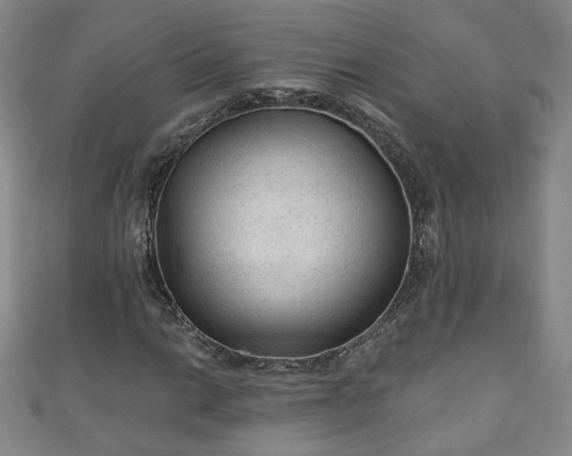 X0000110941014200906261256