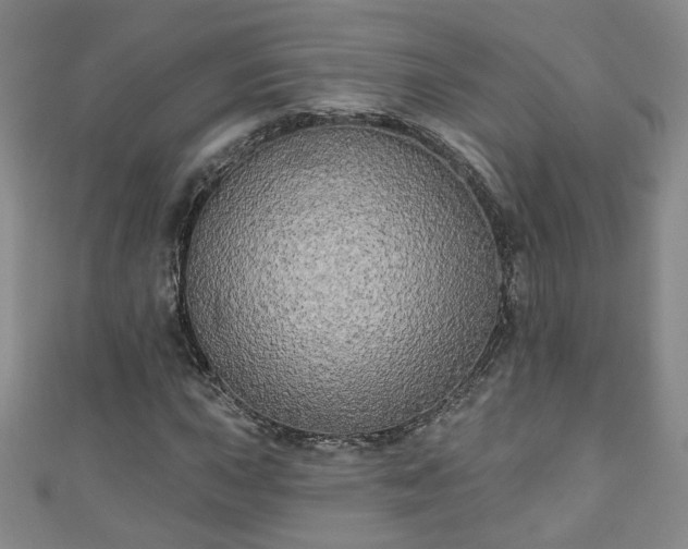 X0000110941015200906261256