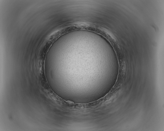 X0000110941016200906261256