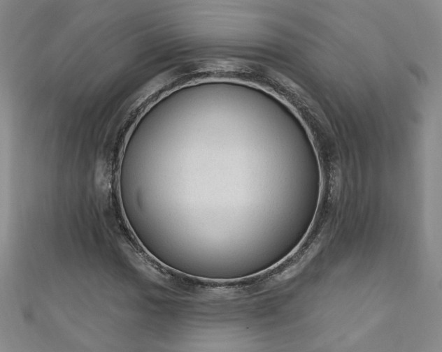 X0000110941017200906261256