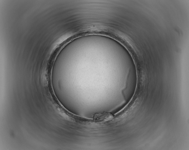 X0000110941018200906261256