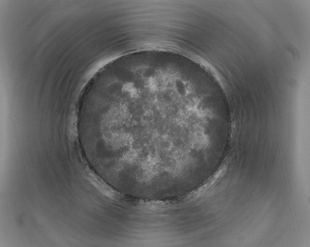 X0000110941019200906261256