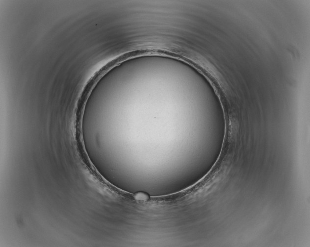 X0000110941020200906261256