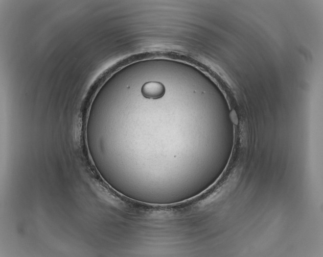 X0000110941021200906261256