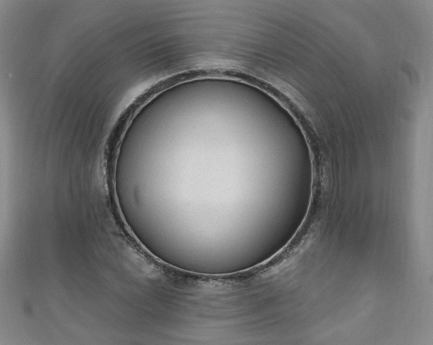 X0000110941022200906261256