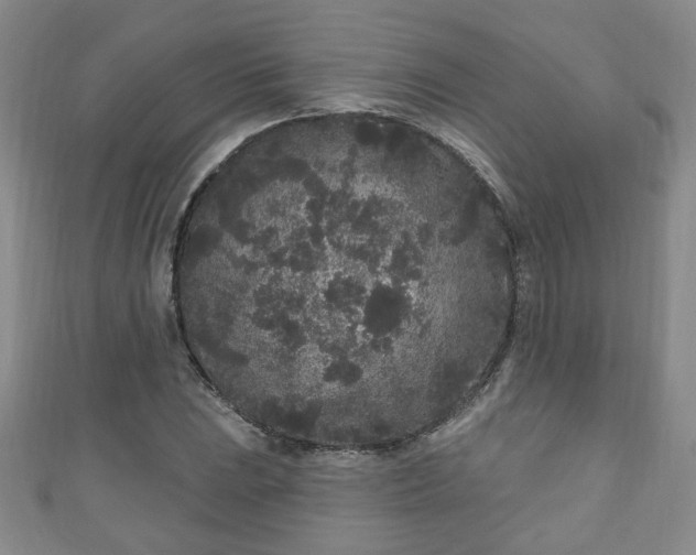 X0000110941023200906261256