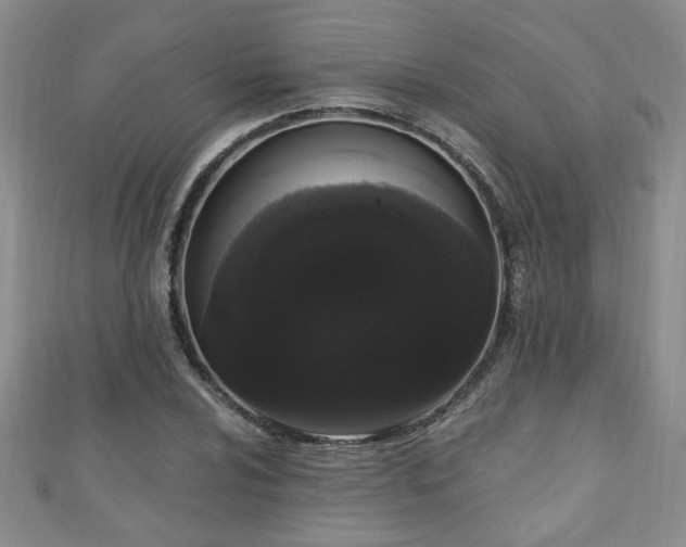 X0000110941024200906261256