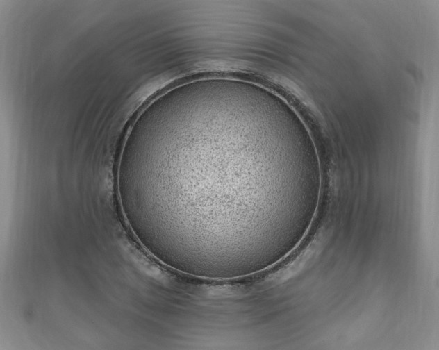 X0000110941025200906261256