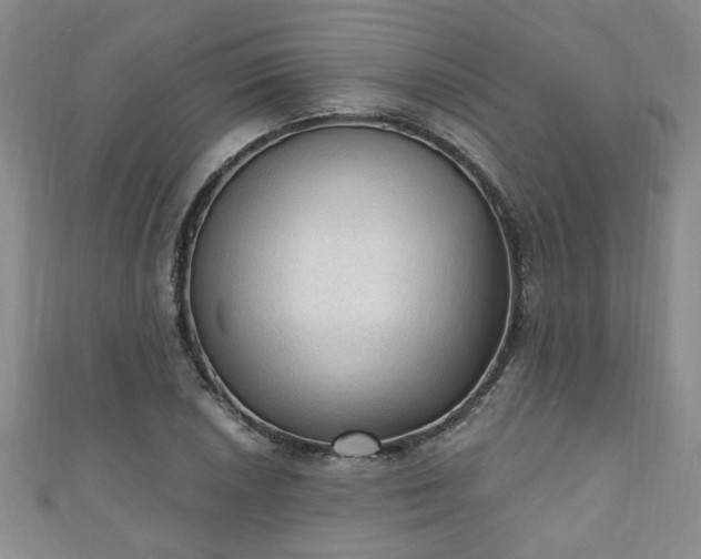 X0000110941026200906261256