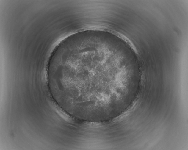 X0000110941027200906261256