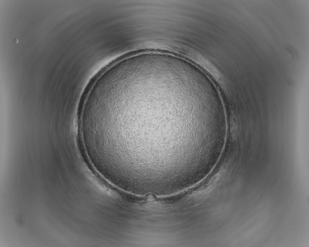 X0000110941028200906261256