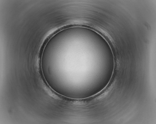 X0000110941029200906261256