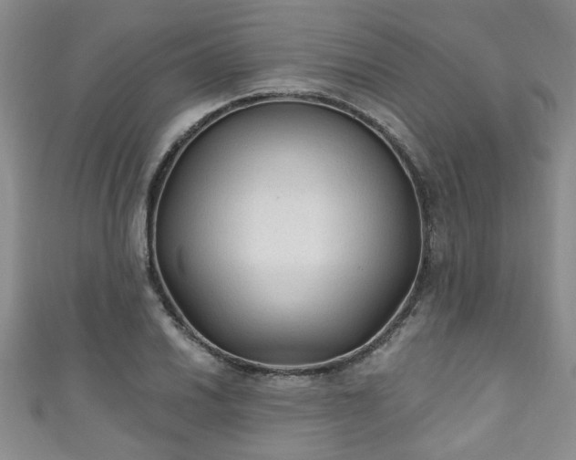 X0000110941030200906261256