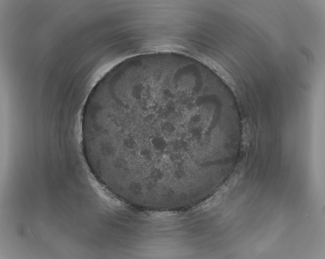 X0000110941031200906261256