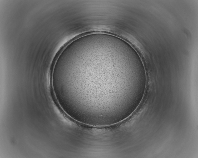 X0000110941032200906261256