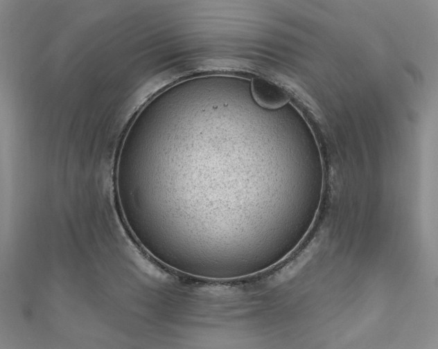 X0000110941033200906261256