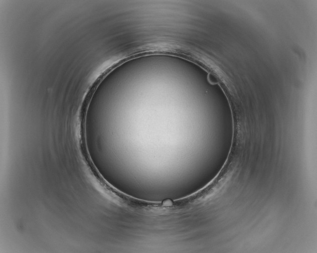 X0000110941034200906261256