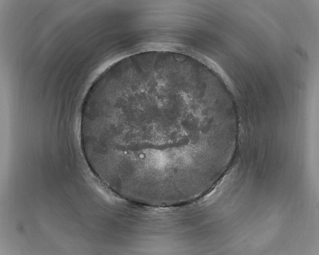 X0000110941035200906261256