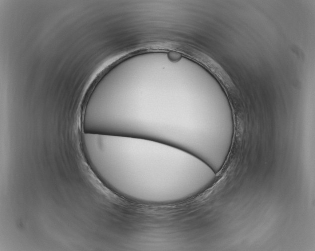 X0000110941036200906261256