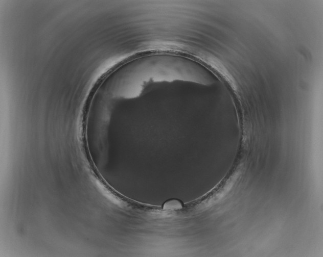 X0000110941037200906261256