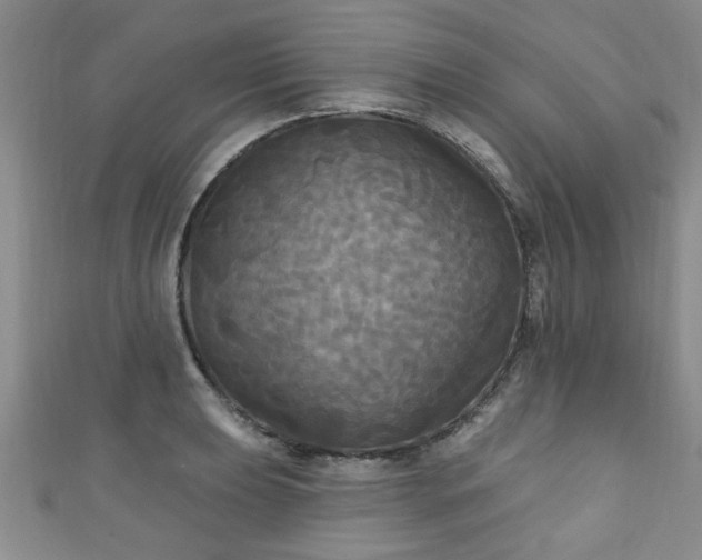 X0000110941039200906261256