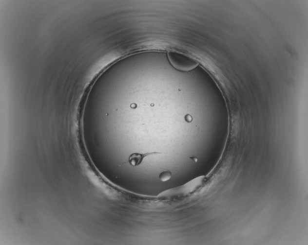 X0000110941042200906261256