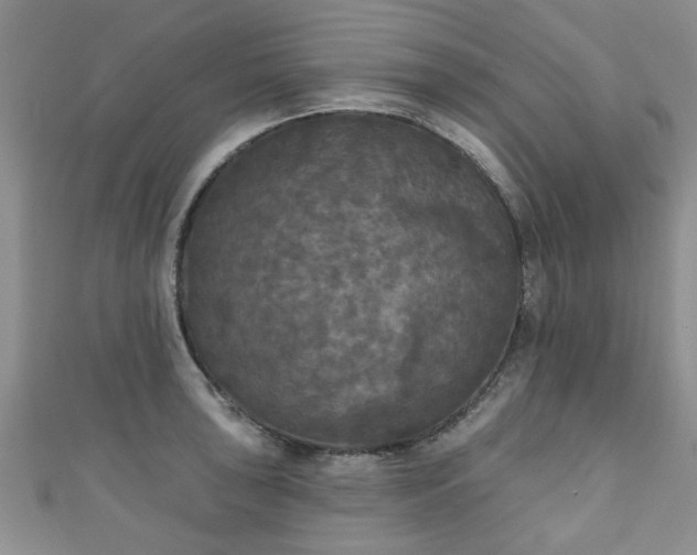 X0000110941043200906261256