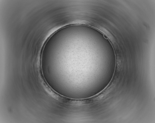 X0000110941044200906261256