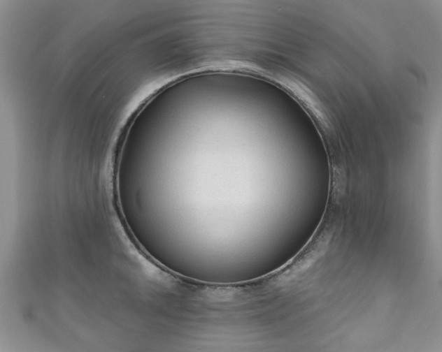 X0000110941046200906261256