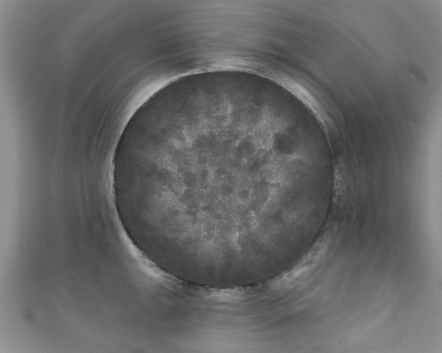 X0000110941047200906261256