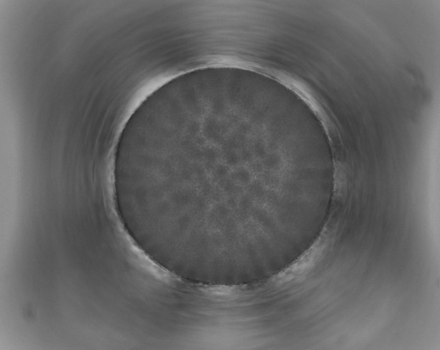 X0000110941048200906261256