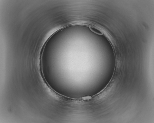 X0000110941050200906261257