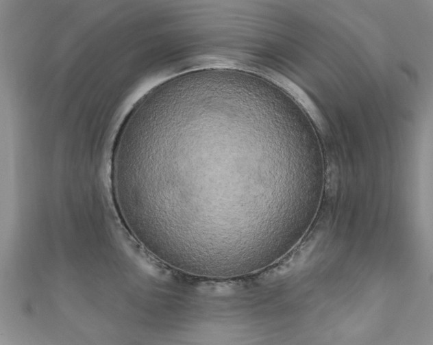 X0000110941051200906261257