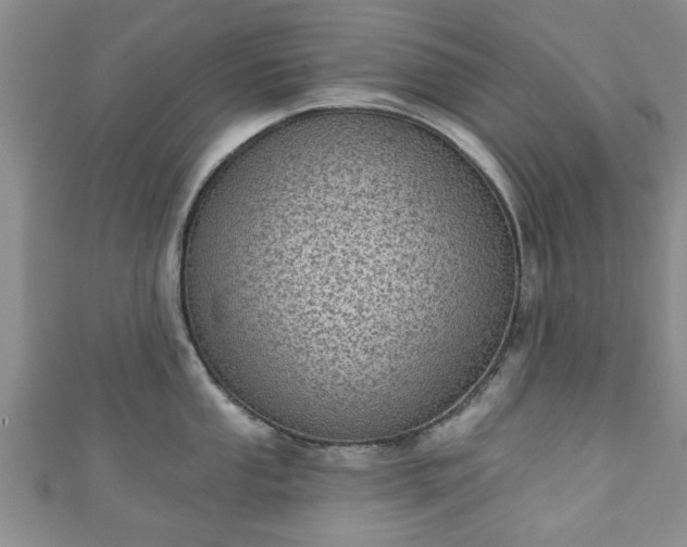 X0000110941053200906261257