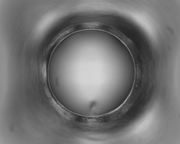 X0000110941054200906261257