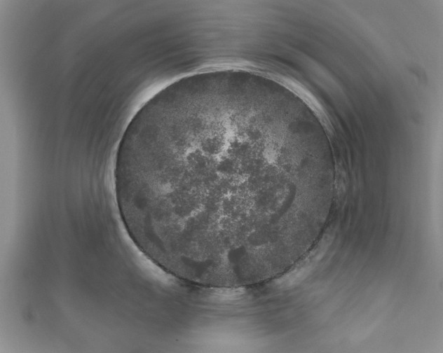 X0000110941055200906261257