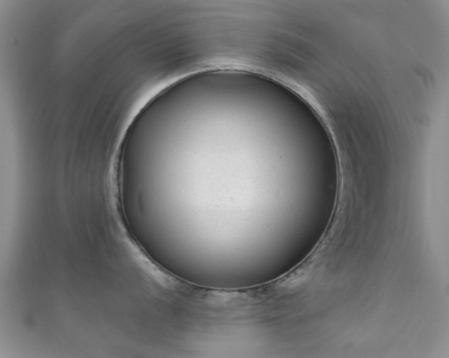 X0000110941056200906261257