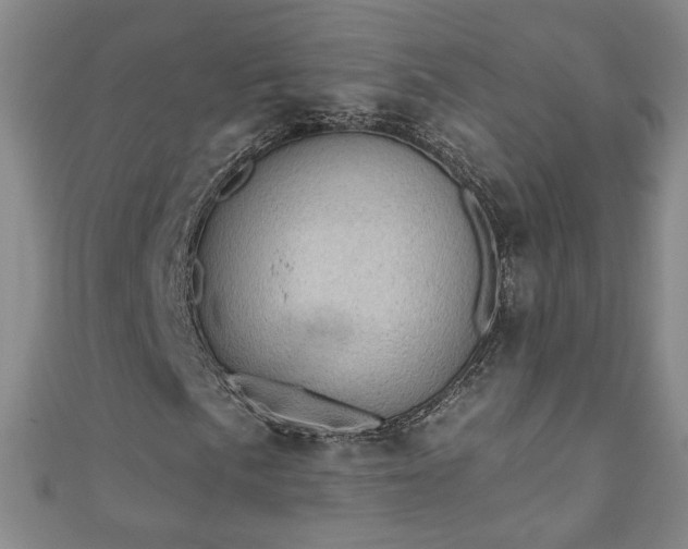 X0000110941057200906261256